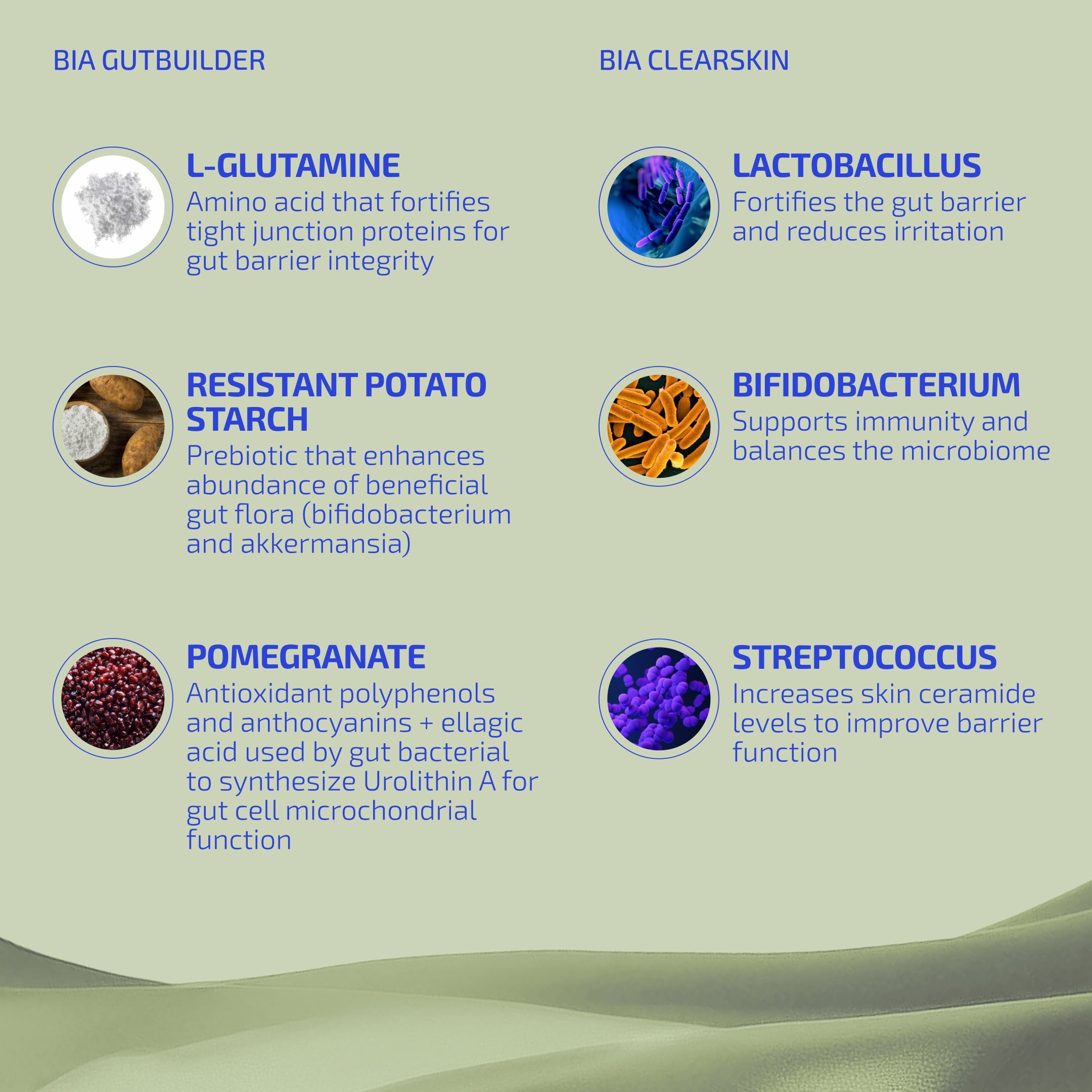 Gut & Skin Barrier Support Bundle – Prebiotic + Probiotic for Eczema-Prone Skin (Age: 12+)