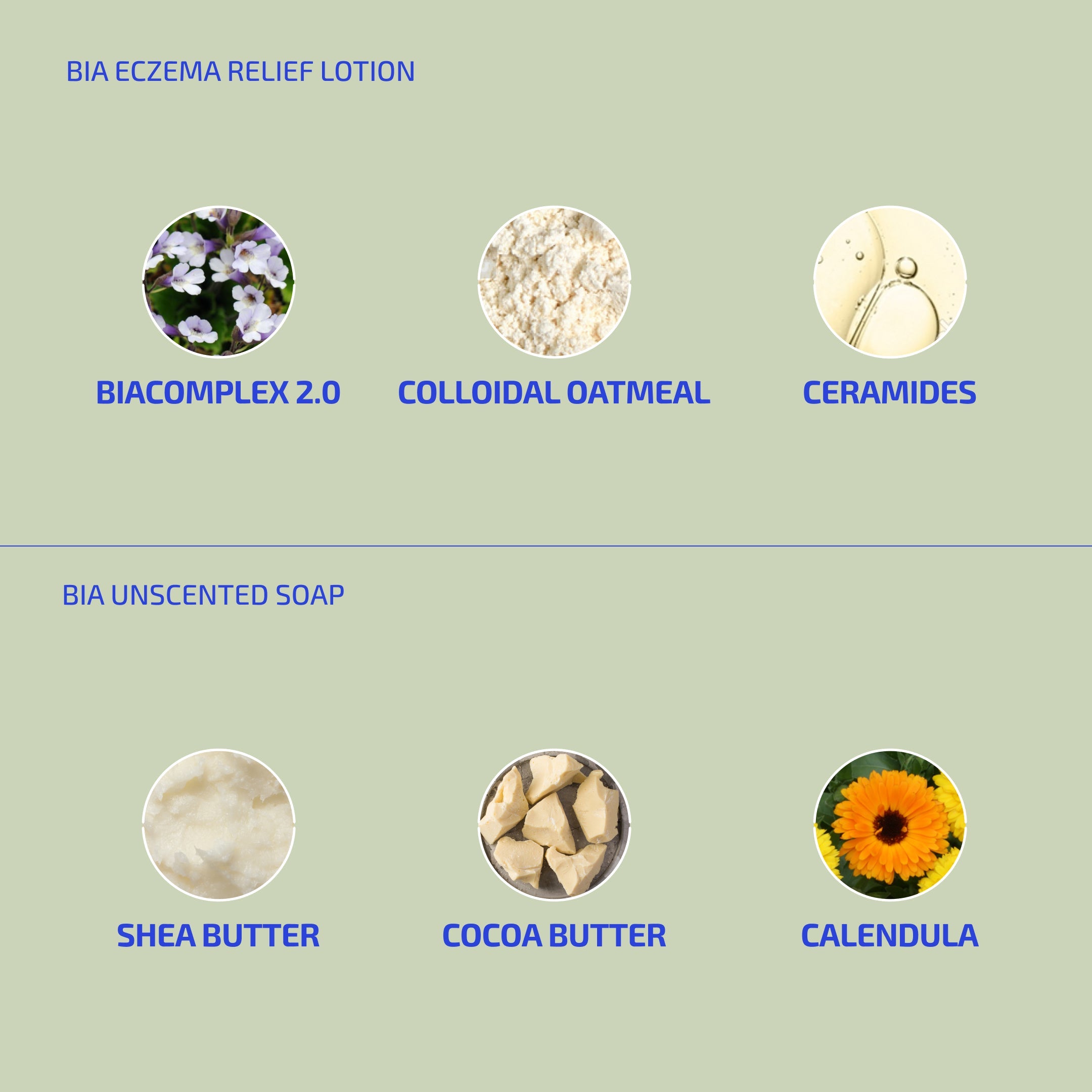 BIA Eczema Relief Lotion & Unscented Soap Bundle – Gentle Skin Protectant Set