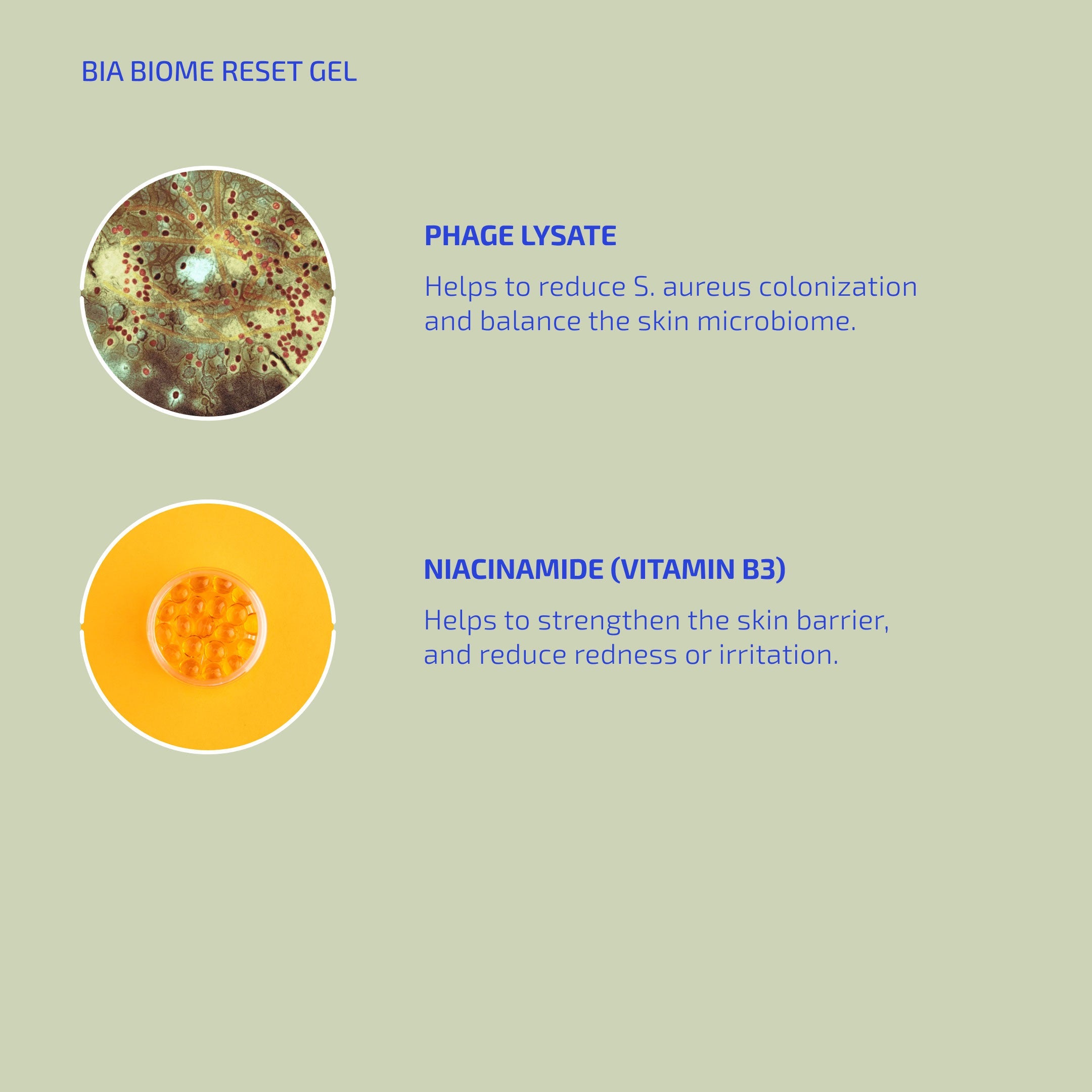 Advertisement for BIA BIOME RESET GEL with images of phage lysate and niacinamide on a light green background.