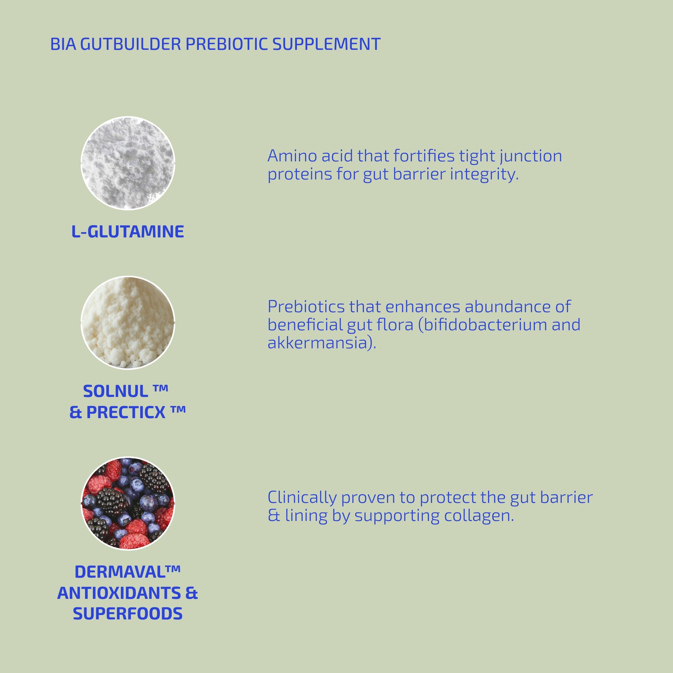 BIA GutBuilder (30 days) - Prebiotic Powder Supplement for Gut Health – (Age: 12+)